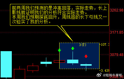 关于一肖一码一必中一肖的解析与落实，精选解释与深度解析的探讨