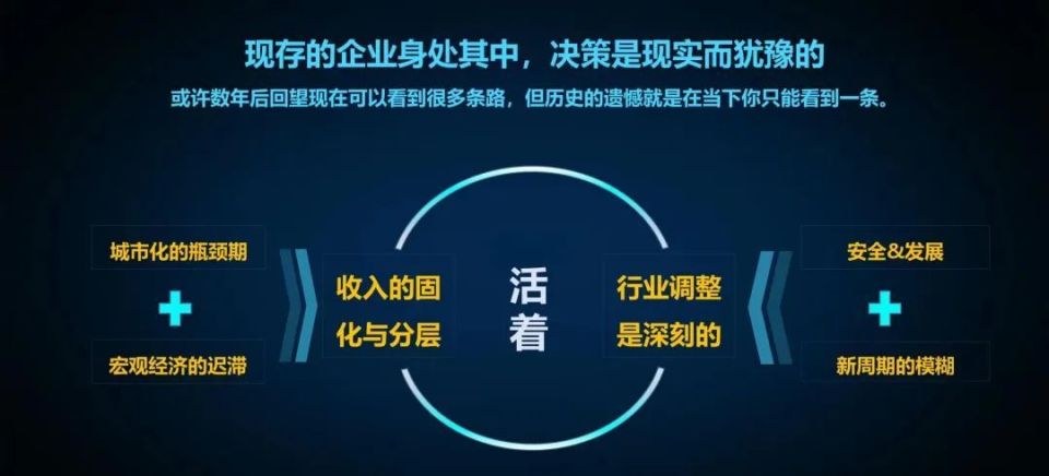 探索未来数据宝库，2024年资料免费大全的特色与优势解析