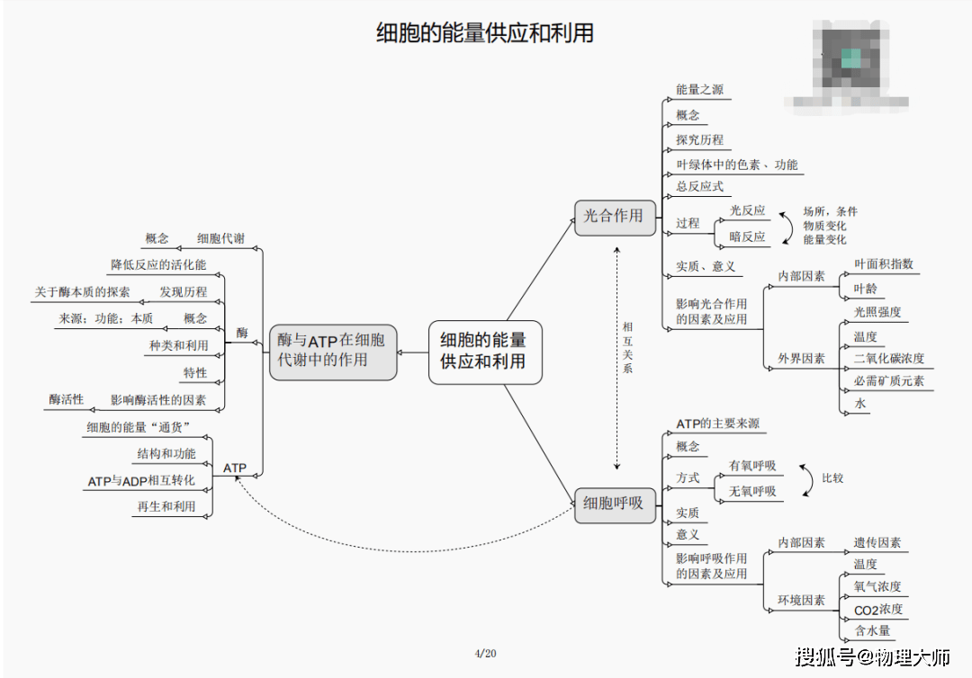 关于三肖必中三期必出资料的分析与解析