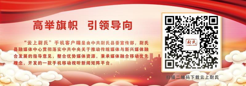 关于一肖一码免费、公开与精选解释解析落实的文章