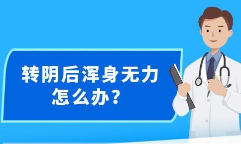 新澳精准资料免费提供最新版，精选解释解析与落实的重要性