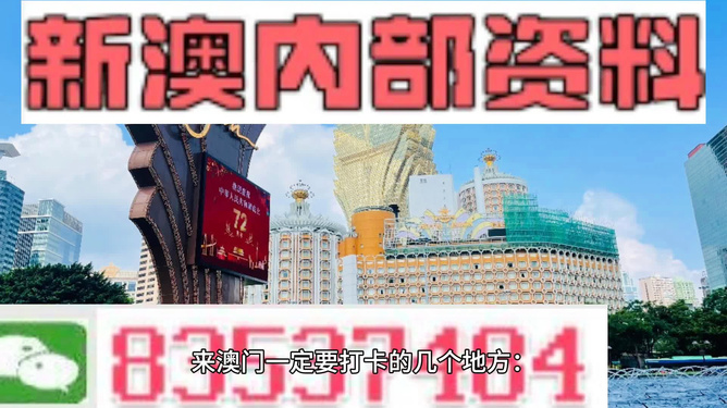 揭秘2024年新澳资料免费公开，深度解析与落实策略