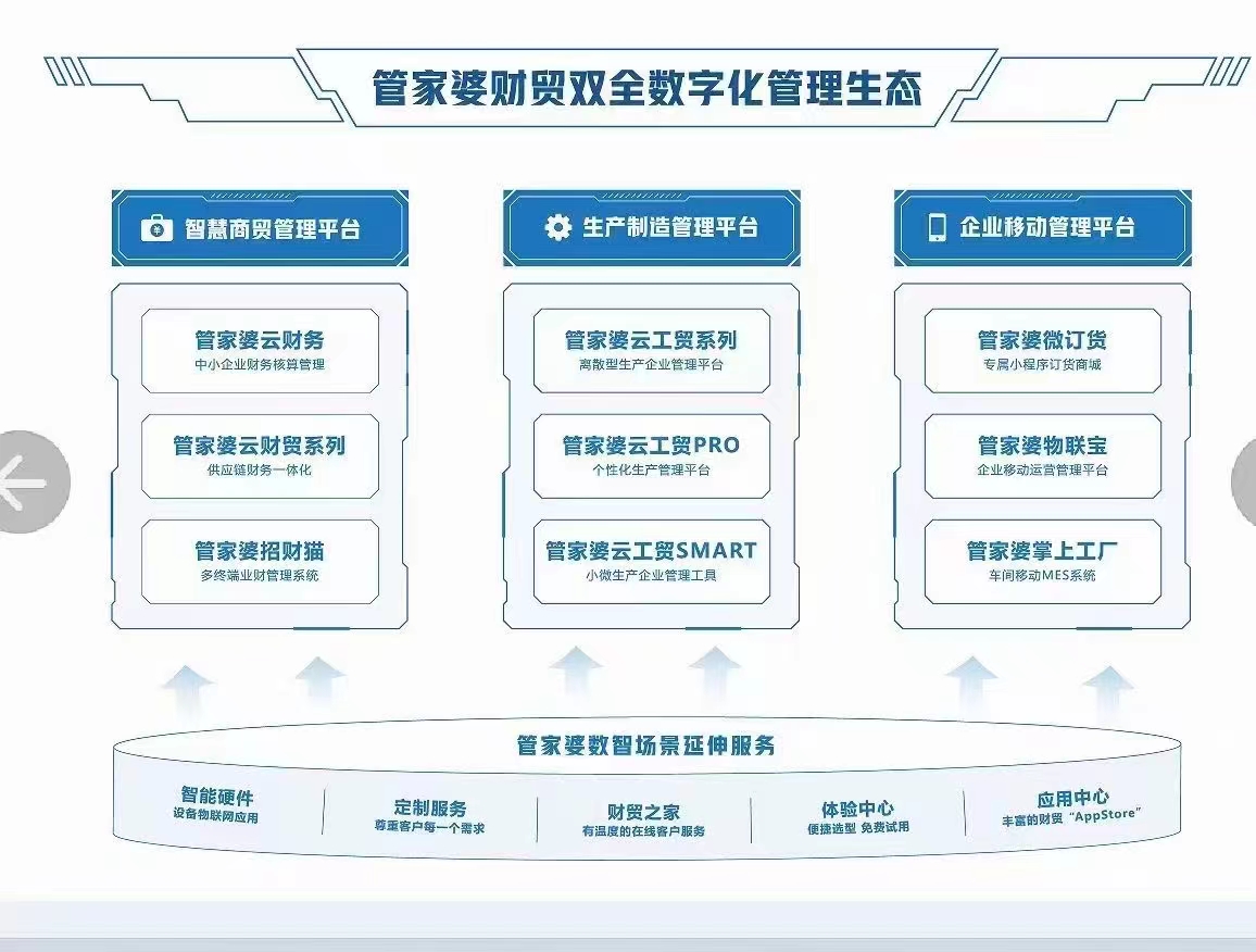 管家婆的资料一肖中特解析与落实策略，第46期深度解析