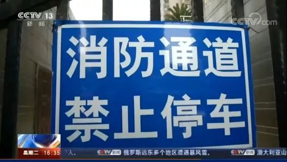 澳门王中王，犯罪行为的警示与解析