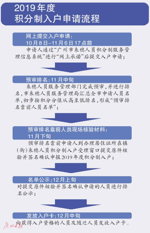 探索新境界，55123新澳精准资料查询与解析落实详解