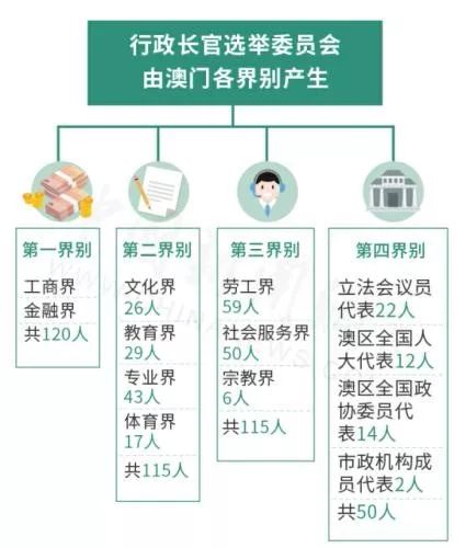 新澳门免费资料大全在线查看，精选解释解析与落实的重要性