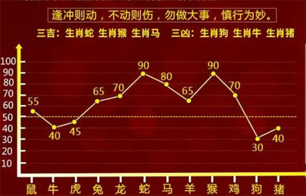 一肖一码一特一中，解析与落实精选策略